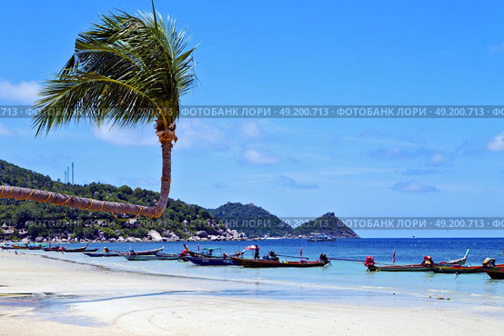 isle  asia in  kho phangan thailand bay   beach    rocks pirogue palm and south china sea . Стоковое фото, агентство Ingram Publishing / Фотобанк Лори