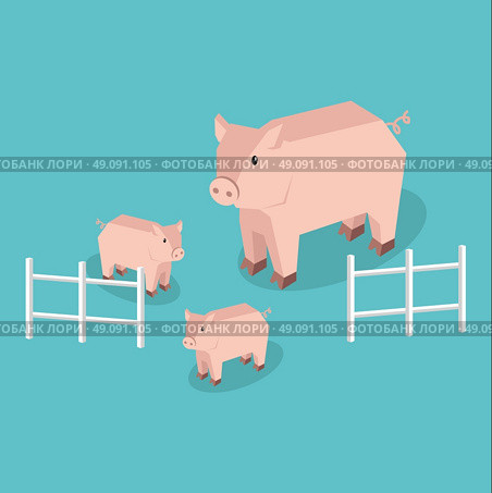 Isometric pig with piglets isolated. Pig family animal farm with litttle piglet, funny drawing livestock farm boar or big swine, 3d funny cute pig with pigling stand near fence. Vector illustration. Стоковая иллюстрация, агентство Ingram Publishing / Фотобанк Лори