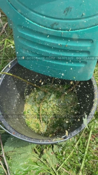 Использование чиппера в экологичном садоводстве. Изготовление опилок с помощью измельчителя веток. Человек закладывает ветки в электрический измельчитель. Стоковое видео, видеограф Светлана Акифьева / Фотобанк Лори