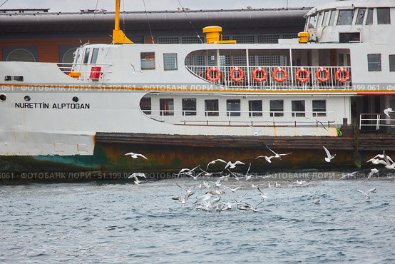 ISTANBUL, TURKEY - NOVEMBER 25, 2021: Ship and seagulls fishing. Редакционное фото, фотограф Наталия Кирсанова / Фотобанк Лори