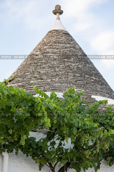 Италия. Альбарабелло. Вид на традиционные дома-трулли. Italy. Alberobello. A view of traditional trulli houses. Стоковое фото, фотограф Алексей Смышляев / Фотобанк Лори