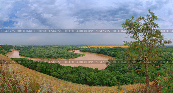 Изгиб реки и одинокое дерево. Стоковое фото, фотограф Андрей Емельяненко / Фотобанк Лори