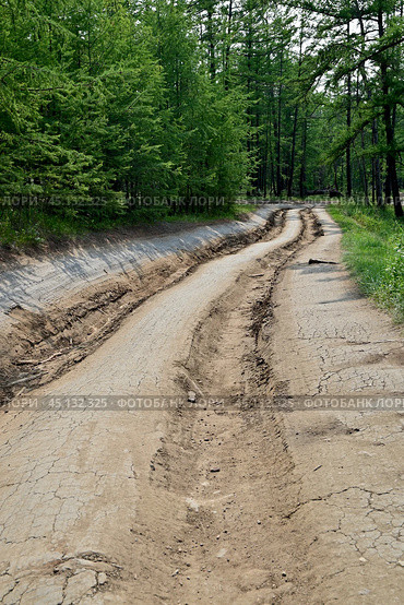 Извилистая дорога с глубокой колеей. Остров Ольхон. Стоковое фото, фотограф Александр Тараканов / Фотобанк Лори