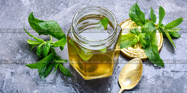 Jam from fresh spearmint. Aromatic curative jam from fresh mint leaves.Peppermint jelly.Green herbal tea. Стоковое фото, агентство Ingram Publishing / Фотобанк Лори