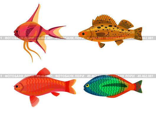 Jewel cichlid and fish set. Tropical vertebrate animals with no limbs. Colorful pink and yellow marine creatures living in water vector illustration. Jewel Cichlid and Fish Set Vector Illustration. Стоковая иллюстрация, агентство Ingram Publishing / Фотобанк Лори
