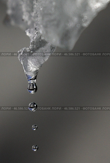 Капли талой воды. Стоковое фото, фотограф Владимир Смирнов / ТАСС / Фотобанк Лори