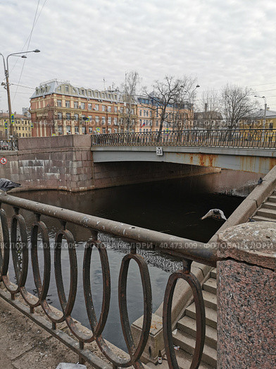 Карпоский мост через реку Карповку, фигурное ограждение, спуск к воде, голубь летит (2021 год). Стоковое фото, фотограф Елена Яворская / Фотобанк Лори