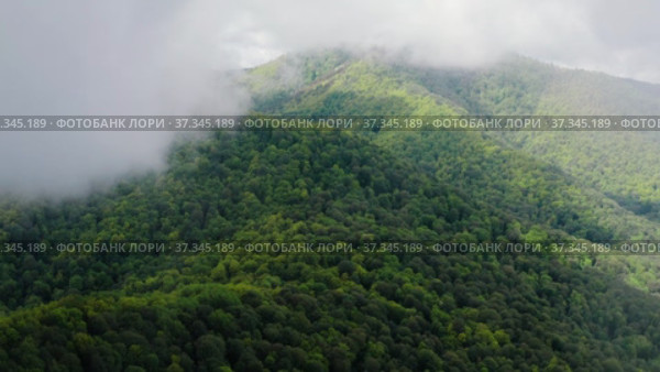 Кавказские горы. Адыгея. Долина реки Белой. Пролёт сквозь облака. The Caucasus Mountains. Adygeya. The valley of the Belaya River. Flying through the clouds. Стоковое видео, видеограф Евгений Романов / Фотобанк Лори