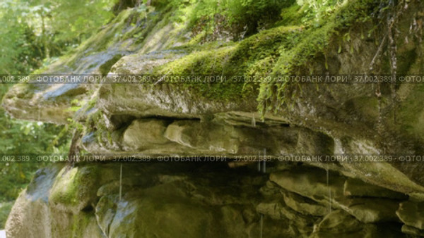Кавказские горы. Каньон реки Кудепста. Со мха капает влага. The Caucasus Mountains. Kudepsta River Canyon. Moisture drips from the moss. Стоковое видео, видеограф Евгений Романов / Фотобанк Лори