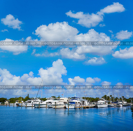 Key West Florida marina in Garrison Bight of Florida USA. Стоковое фото, агентство Ingram Publishing / Фотобанк Лори