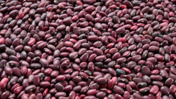 Kidney beans spinning background. Dry red bean wallpaper. Texture. Frame with copy space. Lots of Beans rotating on turntable. Close up. Diet, vegetarianism. Healthy Food. Legume grains. 4k real time. Стоковое видео, видеограф Марина Демидюк / Фотобанк Лори