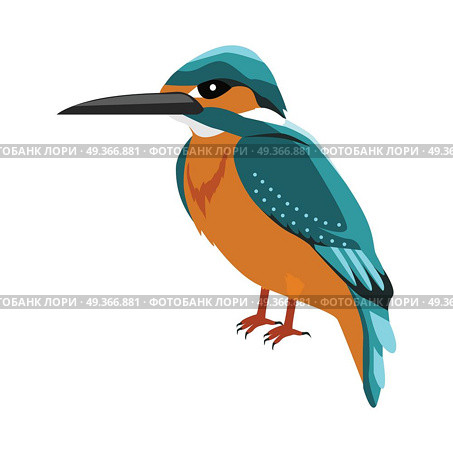 Kingfisher Flat Design Vector Illustration. Kingfisher vector. Predatory birds wildlife concept in flat style design. Tropical fauna illustration for prints, posters, childrens books illustrating. Beautiful kingfisher bird seating isolated on white. Стоковая иллюстрация, агентство Ingram Publishing / Фотобанк Лори