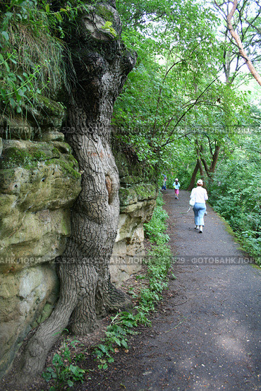 Кисловодск. Парк Терренкур. Тропа здоровья. (2006 год). Стоковое фото, фотограф Михаил Котов / Фотобанк Лори