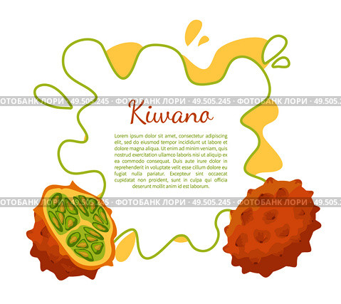 Kiwano exotic juicy fruit vector poster frame and text. Cucumis metuliferus, African horned cucumber or jelly melon, hedged gourd, melano. Tropical edible food. Kiwano Exotic Juicy Fruit Vector Isolated Poster. Стоковая иллюстрация, агентство Ingram Publishing / Фотобанк Лори