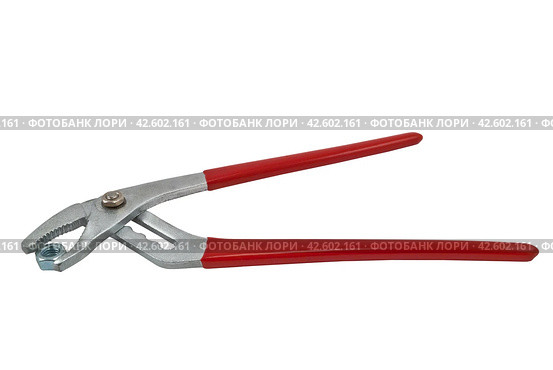 Клещи сантехнические переставные на белом фоне. Clamping pliers, adjustable. Close-up. Isolated on white background. Стоковое фото, фотограф Татьяна Д / Фотобанк Лори