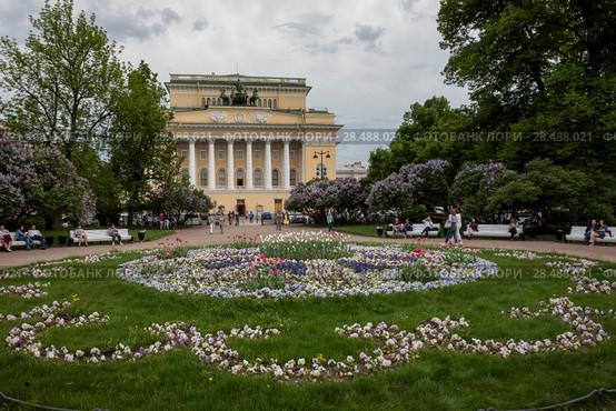 Клумба на площади Островского и фасад здания Александринского театра в центре города Санкт-Петербурга, Россия (2018 год). Редакционное фото, фотограф Николай Винокуров / Фотобанк Лори