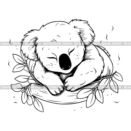 Koala sleeping in a basket of leaves. Hand drawn vector illustration. Стоковая иллюстрация, агентство Ingram Publishing / Фотобанк Лори
