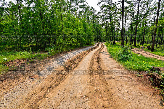 Колея грунтовой дороги. Остров Ольхон. Стоковое фото, фотограф Александр Тараканов / Фотобанк Лори