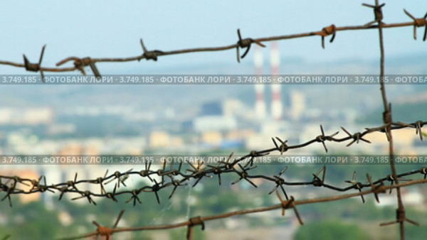 Колючая проволока. Стоковое видео, видеограф Юрий Пономарёв / Фотобанк Лори