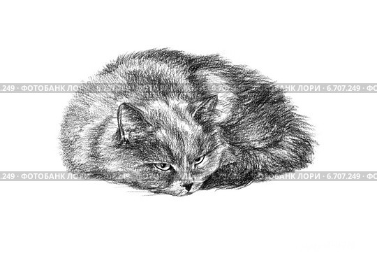 Кошка проснулась - The cat woke up. Стоковая иллюстрация, иллюстратор Марина Ефремова / Фотобанк Лори