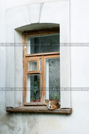 Кошка сидит на монастырском окне. Стоковое фото, фотограф Александр Щепин / Фотобанк Лори