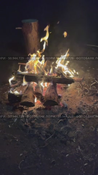 Костер. Стоковое видео, видеограф Нина Игнатьева / Фотобанк Лори