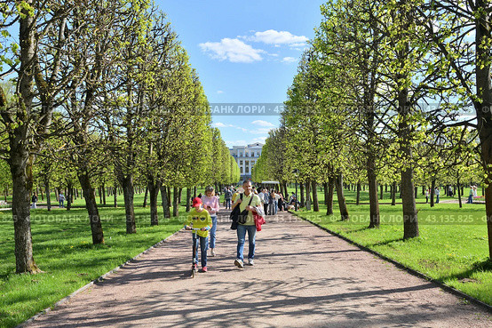 Krasnogorsk, Russia - 1 May. 2024. Linden alley in early spring in Arkhangelskoye Estate Museum. Редакционное фото, фотограф Володина Ольга / Фотобанк Лори