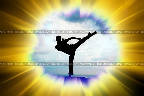 Kung fu illustration. Element of design. Стоковое фото, агентство Ingram Publishing / Фотобанк Лори