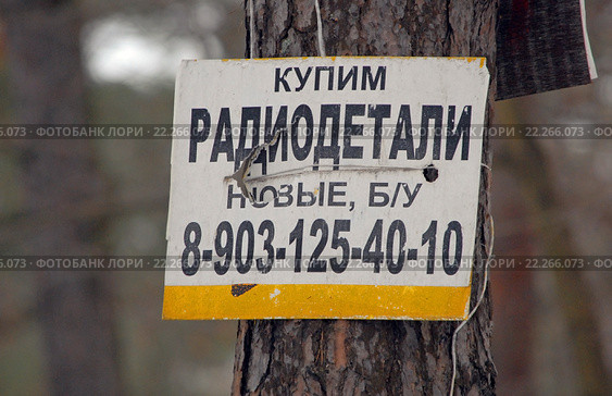 "Купим радиодетали" - объявление, висящее на дереве (2016 год). Редакционное фото, фотограф Александр Замараев / Фотобанк Лори