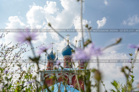 Купола православного храма Казанской иконы Божией Матери в городе Тутаеве (бывший Романов-Борисоглебск) на фоне разнотравья летним солнечным днем, Ярославская область, Россия (2022 год). Стоковое фото, фотограф Николай Винокуров / Фотобанк Лори