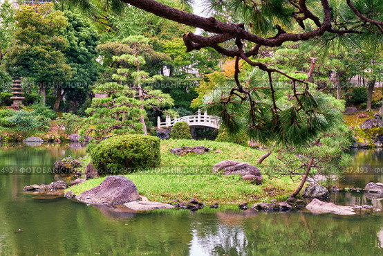 Kyu-yasuda garden, a small japanese stroll garden located in Ryogoku. Tokyo. Japan (2019 год). Стоковое фото, фотограф Сергей Пристяжнюк (Serg Zastavkin) / Фотобанк Лори