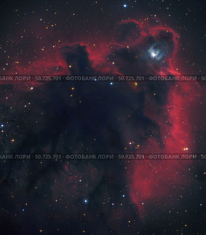 L1622, cometary globule in Orion. Стоковое фото, фотограф Robert Gendler/Stocktrek Images / ТАСС / Фотобанк Лори