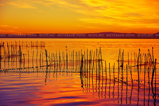 La Albufera lake sunset in El Saler of Valencia at Spain. Стоковое фото, агентство Ingram Publishing / Фотобанк Лори