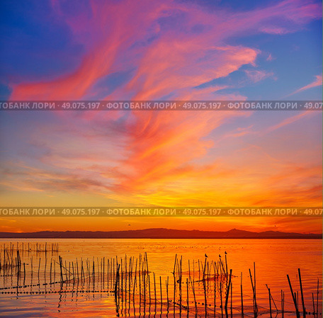 La Albufera lake sunset in El Saler of Valencia at Spain. Стоковое фото, агентство Ingram Publishing / Фотобанк Лори