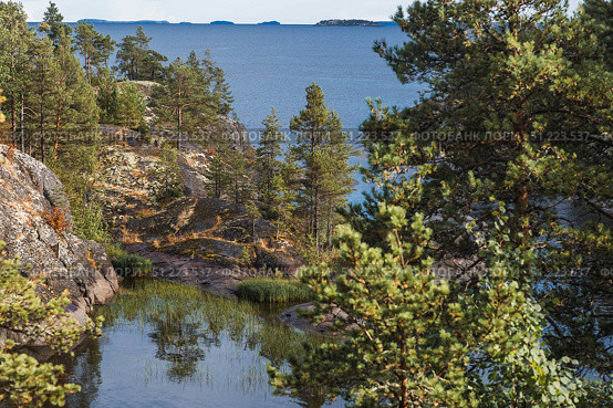 Ladoga skerries, stone islands on Lake Ladoga. Republic of Karelia, Russia. Стоковое фото, фотограф Photojuli / Фотобанк Лори