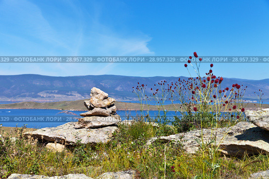 Lake Baikal in a summer sunny day. A traditional pyramid of stones on the high hill of the island of Olkhon. Crimson inflorescence of the plants of Great burnet or Sanguisorba officinalis against the background of the Small Sea Strait. Стоковое фото, фотограф Виктория Катьянова / Фотобанк Лори