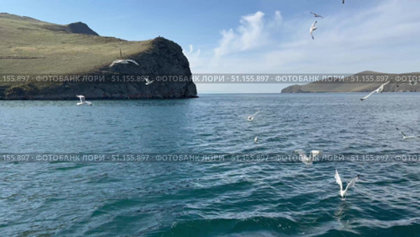 Lake Baikal in summer. Video of a passenger ferry crossing the Olkhon Gate Strait. Seagulls circling around the ship. Summer trips to Olkhon Island. Стоковое видео, видеограф Виктория Катьянова / Фотобанк Лори
