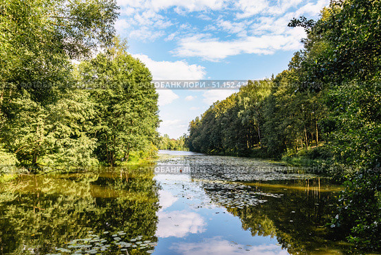 Landscape with pond in Ostafyevo estate. The former country estate of the Vyazemsky-Sheremetevs in the village of Ostafyevo. Стоковое фото, фотограф Константин Григорьев / Фотобанк Лори