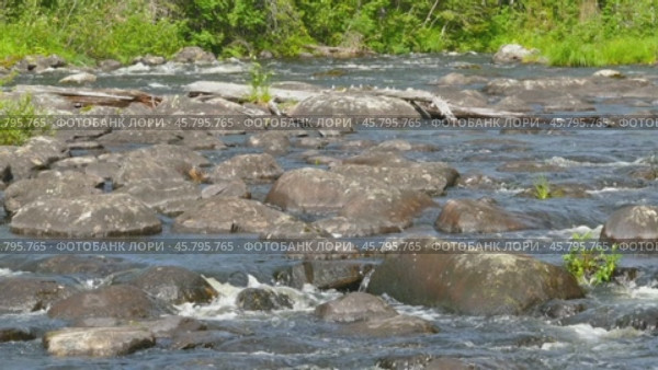 Landscape with river and forest in Karelia. Стоковое видео, видеограф Михаил Коханчиков / Фотобанк Лори