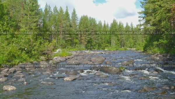 Landscape with river and forest in Karelia. Стоковое видео, видеограф Михаил Коханчиков / Фотобанк Лори