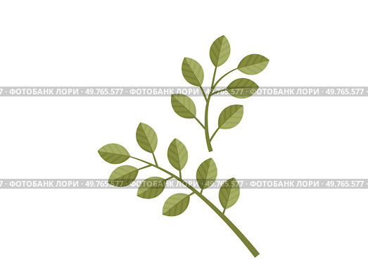 Leaves vector illustration. Leaves grow gracefully, weaving vibrant tapestry in heart garden The leaves metaphor eloquently describes intricate ballet nature Cultivating blossoms and petals. Leaves. In botanical realm, leaves and foliage symbolize essence life. Стоковая иллюстрация, агентство Ingram Publishing / Фотобанк Лори