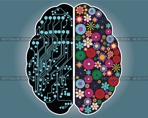 Left and right side of the brain, logic and creativity, vector. Стоковая иллюстрация, агентство Ingram Publishing / Фотобанк Лори