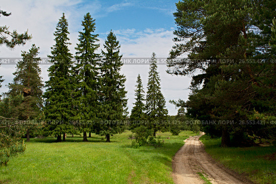 Летняя сказка. Стоковое фото, фотограф Игорь Камаев / Фотобанк Лори