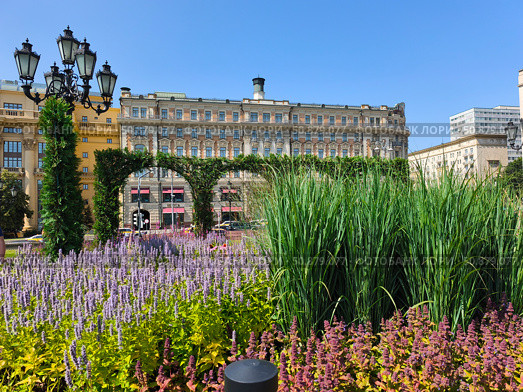 Лето в Москве. Живые растения на Манежной площади. Редакционное фото, фотограф Мария Сергеева / Фотобанк Лори
