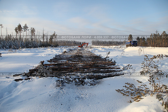 Лежнёвка на болоте (2012 год). Редакционное фото, фотограф Валерий Акулич / Фотобанк Лори