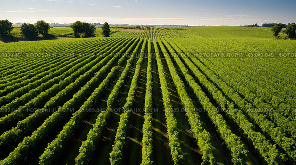lidar drones agriculture ai generated. Стоковое AI-изображение, AI-художник Vectorwin / Фотобанк Лори