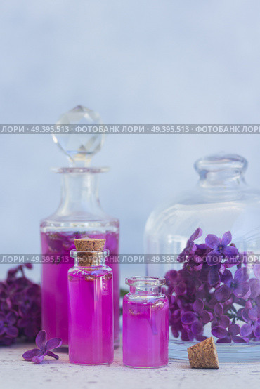 Lilac essence in glass vials and fresh lilac flowers on gray background. Lilac essence vials. Стоковое фото, агентство Ingram Publishing / Фотобанк Лори