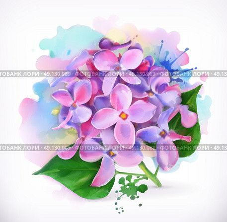 Lilac flowers, watercolor painting, mesh vector. Стоковая иллюстрация, агентство Ingram Publishing / Фотобанк Лори