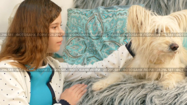Little girl strokes a dog. Стоковое видео, видеограф Tatiana Kravchenko / Фотобанк Лори