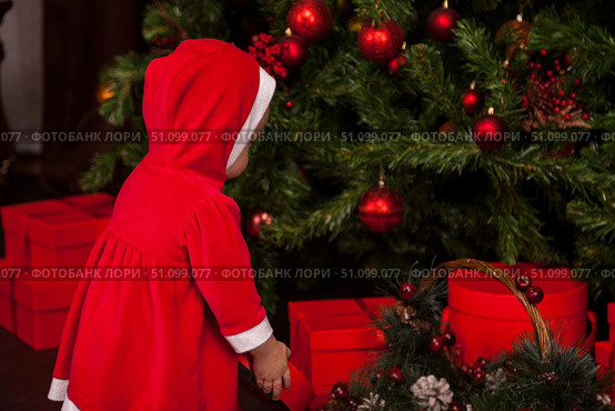 Little Helper Gazes at the Sparkling Christmas Tree. Стоковое фото, фотограф Aleksandr Golubev / Фотобанк Лори